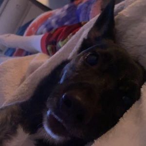 Meet your Posher, Mackenzie